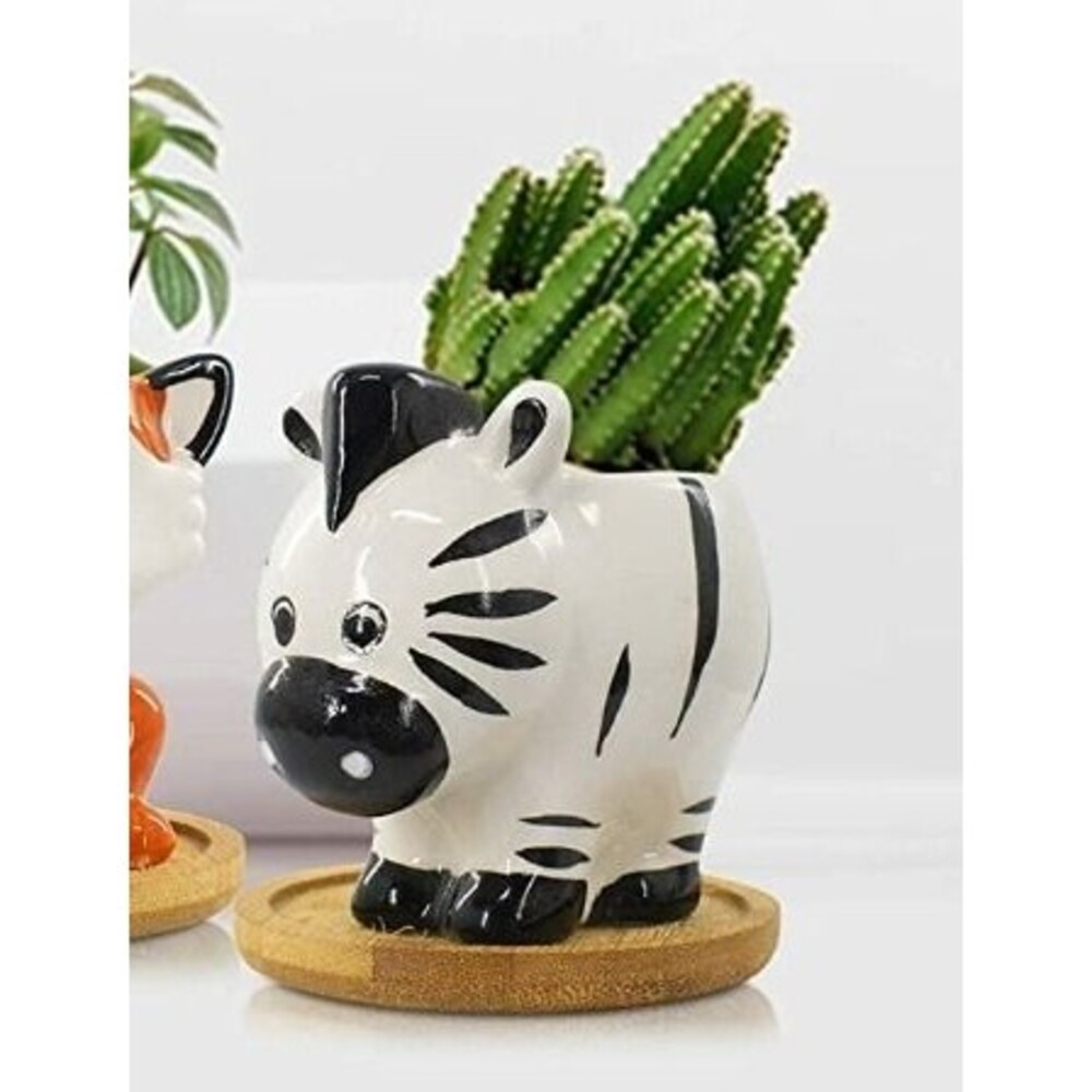 Ceramic Succulent Planter Zebra
